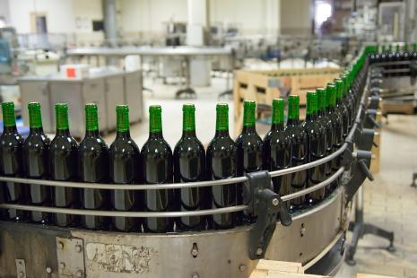 Perdas na safra de uva preocupa produtores de vinho no Sul