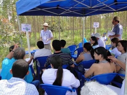 Reunio Tcnica sobre eucalipto no campo experimental da Embrapa Rondonia. Foto de Kadijah Suleiman,