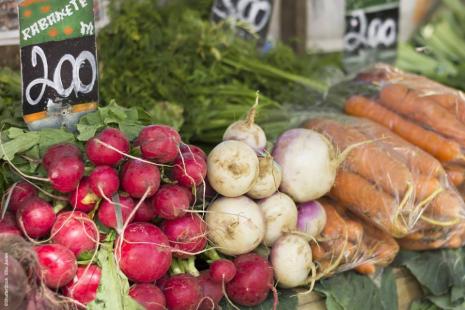 Clima influencia nos preos de produtos agrcolas em SP