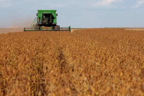 Conab estima safra 1,3% maior em 2015/16