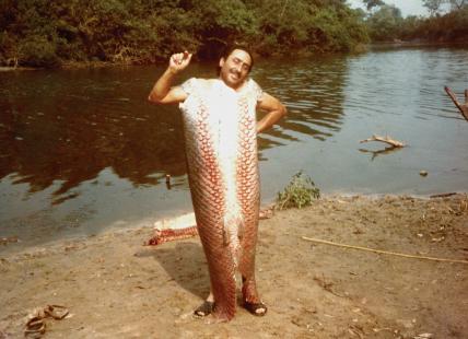 Luprcio de sereia - foto arquivo do Walter do Valle