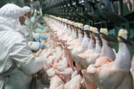 Cooperativa Aurora no descarta dar novas frias coletivas para seus funcionrios