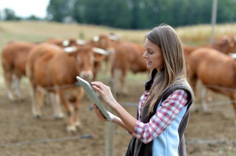 Agropecuria se prepara para entrar em nova fase de uma tendncia tecnolgica