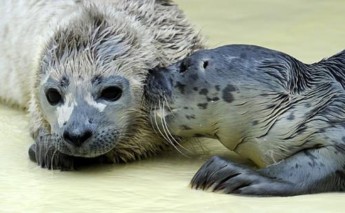 Foto: Carsten Rehder/DPA/AFP