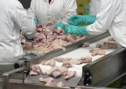 Vendas de frango orgnico j foram iniciadas para Hong Kong