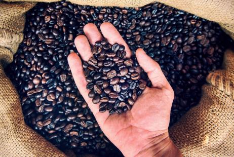 Setor cafeeiro ter reduo de juros no Plano Safra 2018/19