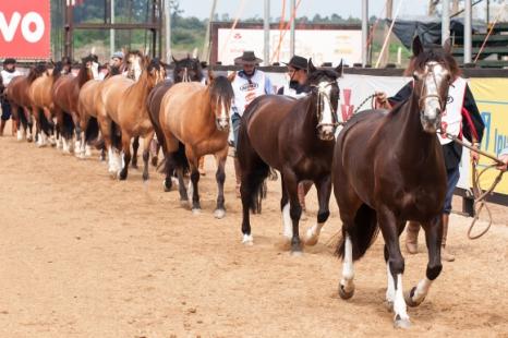 Avaliao comeou nesta tera-feira - Foto: Divulgao ABCCC 