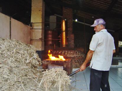 O bagao da cana pode alimentar a caldeira do alambique: reduo de custo