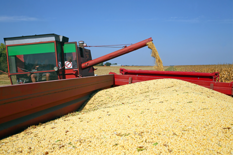 China continua como principal comprador de produtos agrcolas brasileiros