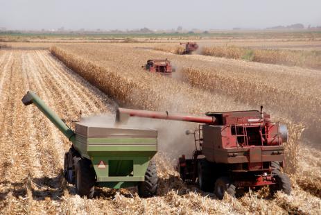 Instabilidade do clima prejudicou faturamento da agropecuria neste ano