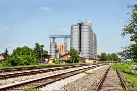Transporte de milho pode reduzir custos de produo na suinocultura catarinense