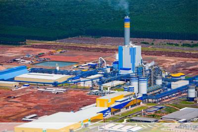 Divulgao Fibria (unidade de Trs Lagoas, MS)