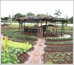 Divulgao Sebrae