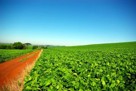 MT produziu 120 mil toneladas de soja sustentvel neste ano