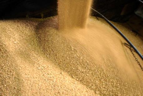 USDA indica aumentos nos estoques de soja dos EUA