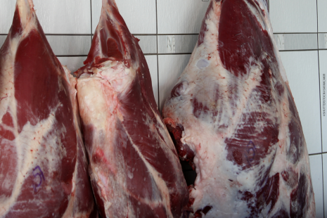 Mercado russo comprou menos carne brasileira no ms passado