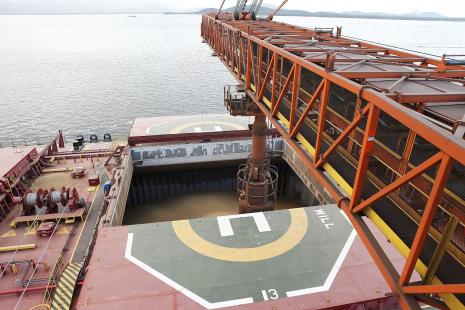 Soja  o principal produto exportado pelo Porto de Santos (Foto: Appa)