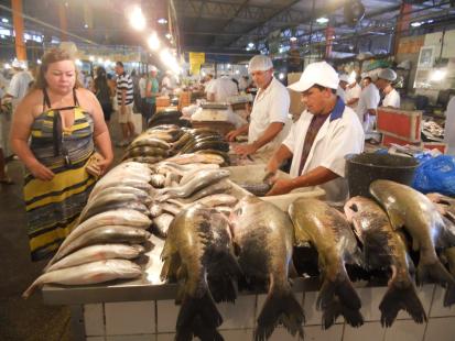 Mercado de peixes em Fortaleza  referncia nacional