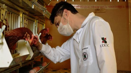 Especialista destaca importncia do zootecnista para produo agropecuria