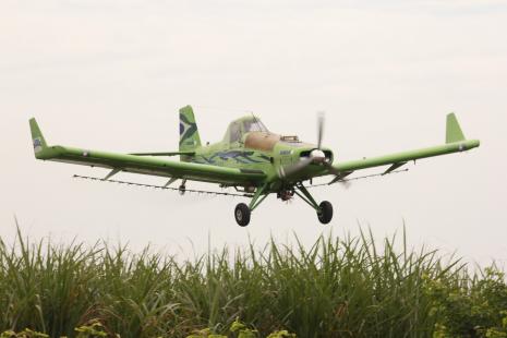 Aviao agrcola vem crescendo no Brasil (Foto:Castor Becker Jnior)