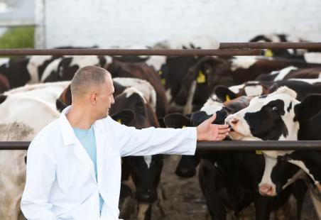 Veterinrios tero novas exigncias para exercer a profisso