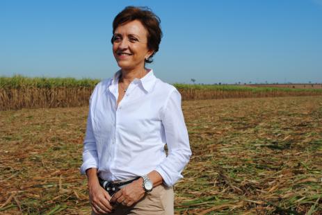 Ns tnhamos uma produtividade em queda devido aos poucos cuidados com o campo, porm isso foi revertido em 2012, afirmou Beth. Foto de Marcela Ayebe