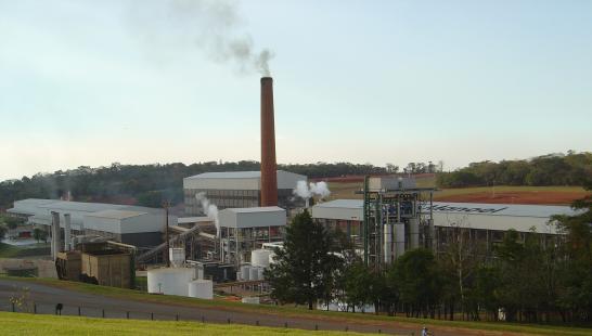 Usina So Manoel, empresa campe em sustentabilidade, ser uma das unidades visitadas