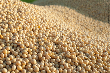 Abiove estima produo nacional de soja em 97,3 milhes de toneladas
