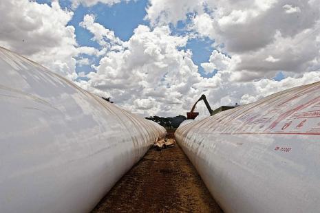Resultado de imagem para foto de silo bag