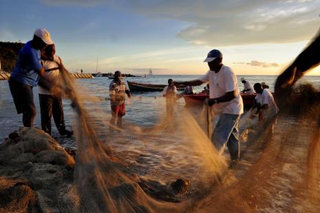 Desde 2008 Brasil no realiza coleta de dados sobre a pesca