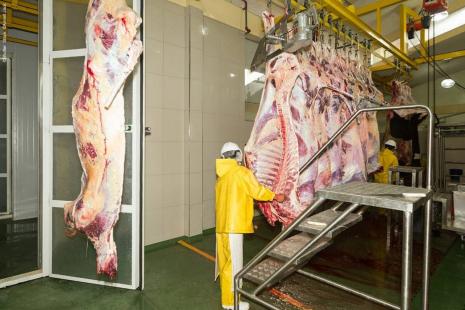Mercado brasileiro pode demorar a se recuperar aps escndalo envolvendo frigorficos 