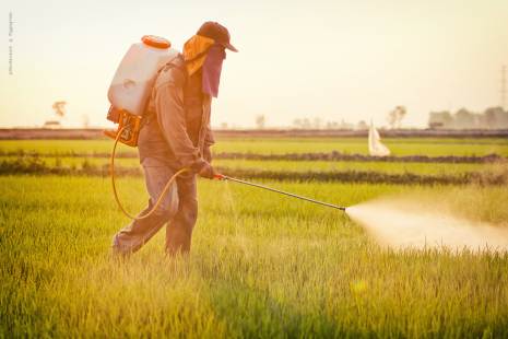 Minas Gerais  referncia na fiscalizao no setor de agrotxicos