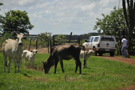Febre amarela avana especialmente em reas rurais do Mato Grosso do Sul (Foto: Agncia Brasil)