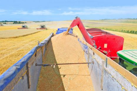 Bom desempenho da agricultura favoreceu o faturamento do agronegcio