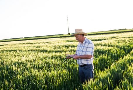 Quase 20 milhes de pessoas atuam no agronegcio, aponta pesquisa