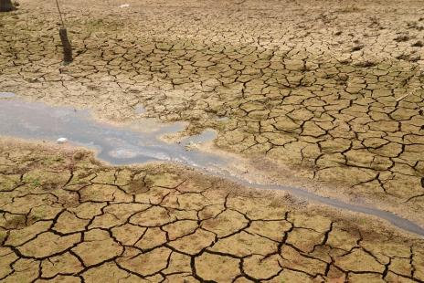 Garantia-Safra deve beneficiar 440 mil famlias em municpios do Nordeste atingidos pela seca