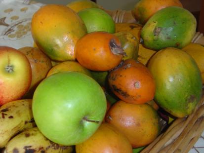 Incentivo  alimentao saudvel