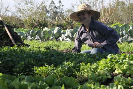 Para ter direito ao benefcio, mulher precisa ser agricultora familiar