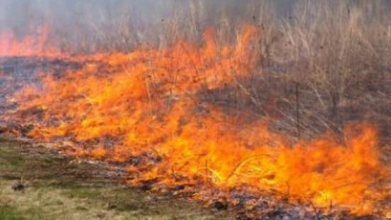 O no cumprimento da normativa pode ser considerado crime ambiental